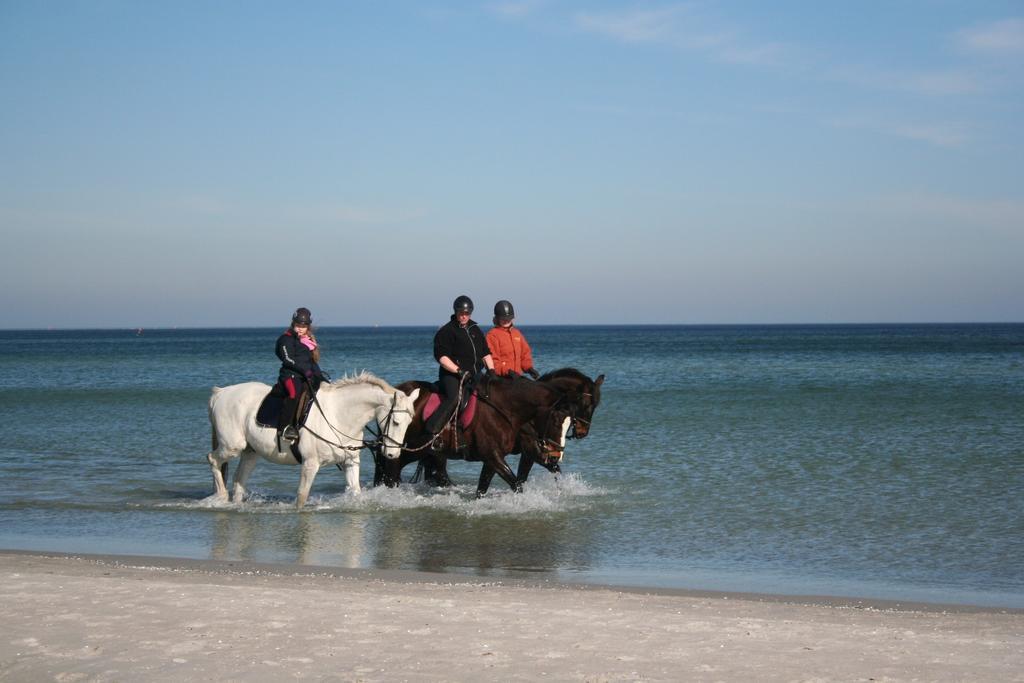 Ferienwohnung Ostseestrand ซิงสท์ ห้อง รูปภาพ